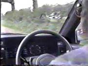 Sex In The Car And The Woods
2826