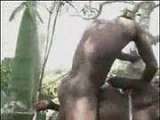 Real African Amateur Fuck On The Tree Part 2
2000