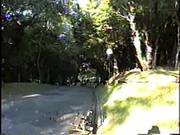 Crisputinha Aprontando No Parque Barreirinha
3100