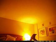 Myrtle Beach Resort Fuck Session
900
