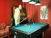 We Play Pool
1700
