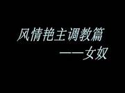 Chinese Slave Trainning
3400
