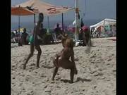Beach Day In Brazil 13
1400