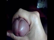 Cum 2
207