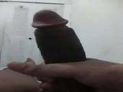 Black Cock 2
116