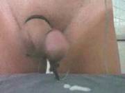 Electro Cum Collection
300