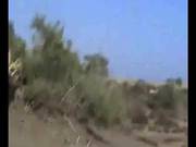Voyeur Beach Blowjob
700