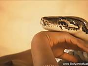 Serpent Rising Indian Babe Dances Exotic