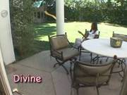 Divine School Girl