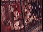 Brunette Bitch Gets Screwed In The Ass
