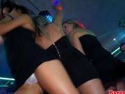 Real Party Euro Amateur Giving Head Feature