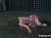 Obedience Sex Training For A Cute Girl With Her Head Stuck In A Box