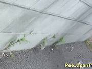 ### Asian Shows Muff