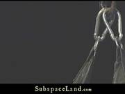 Amazing And Elegant Female Humiliation In Bdsm Session