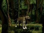 3d Animation Moria Catacombs