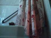Elder Sister Shower