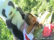 Weird Panda Plush Action In Open Field