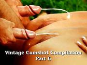 Vintage Cumshot Compilation Part 6
1002