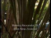 The Sexual Adventure Of An Exchange Student
2109