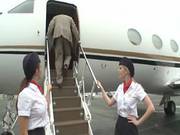 Air Sex
2630