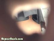 Peeping Beach Toilet