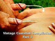 Vintage Cumshot Compilation Part 3
1000