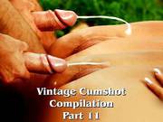 Vintage Cumshot Compilation Part 11
806