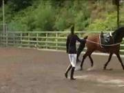 What Happend In This Horse Riding School
1603
