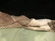 Another Squirt Video
721