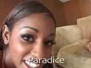 Paradise Acp9