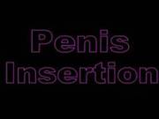 Penis Insertion