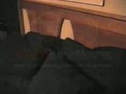 Stolen Homemovie