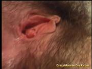 Crazy Monster Cock Hard Fucked Bitch