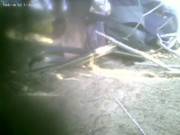 Blowjob Party Semecaelababacom