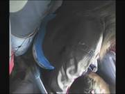 Encoxada Groping A Delicious Ass Http 