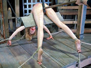 Horny Babe Rain Degrey Tied Up And Toyed