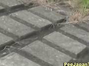 Asians Leave Piss Puddles In The Public 