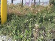 Bent Over Brown Haired Amateur Fucked In Public