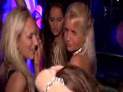 Beautiful Girls Having A Great Time