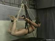 Gifts Of Pain 07 7392 With Nicole
