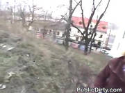 Brunette Flashing Her Titties And Pussy Outdoors In Public