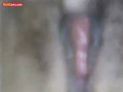 Young Vietnamese Girl Show Pussy