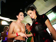 Dso Porno Pop Party Part 5 Main Edit. Part 3