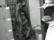Security Cam Chronicles 5 Scene 5