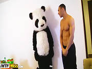 A Sex Party With A Panda Is A Good Sex Party