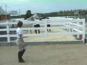 House Stable Worker Spanked For Using Goo 
