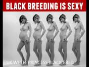 Black Cock Princess