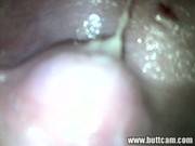 Tobi Clip 6
