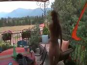 Hot Redhead Shave Her Pussy And Her Asshole
600