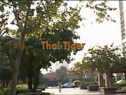 Cute Thai Chick Get Ass Fucked
2027